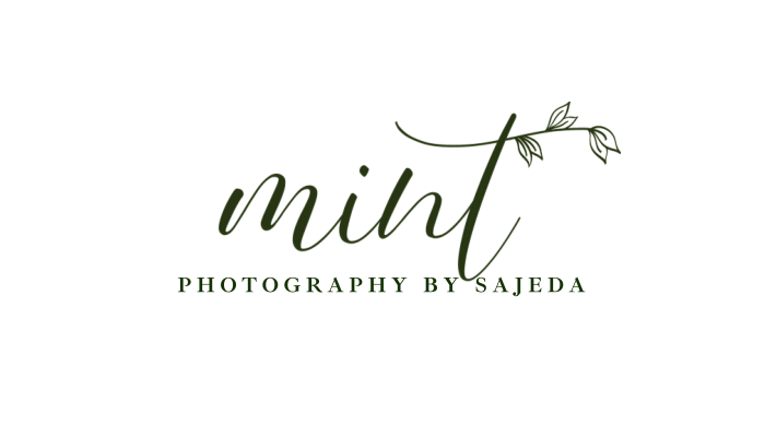 mint logo-1